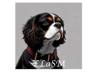 Meet LLaSM: An End-to-End Trained Large Multi-Modal Speech-Language Model with Cross-Modal Conversational Abilities Capable of Following Speech-and-Language Instructions