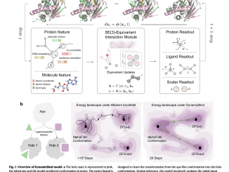 DynamicBind: A Deep Learning Approach for Dynamic Protein-Ligand Docking and Drug Discovery