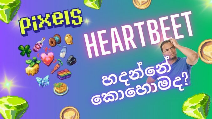 How to Get Heartbeet in Pixels Game | Sinhala Guide 2024 | #sinhala #crypto #pixelgame #heartbeet