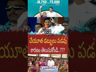 చేయూత డబ్బులు పడవు కారణాలు తెలుసుకోండి || AI news || Cheyutha payments status