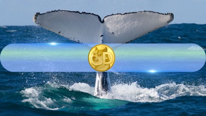 Dogecoin Whales Scoop Up 700 Million DOGE in 72 Hours