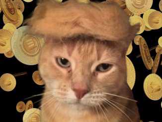 “Meowing America Great Again” - This new cat-meets-Trump PolitiFi memecoin launches today