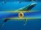 Over 40% of Bitcoin (BTC) Supply Now Held by This Group of Whale Addresses