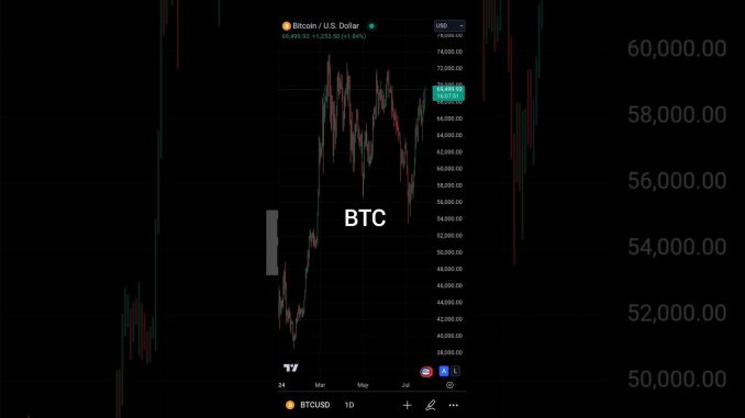 BTC 29 July 2024 TODAY MY PRICE PREDICTION #shorts #youtubeshorts #trading #crypto #bitcoin #viral
