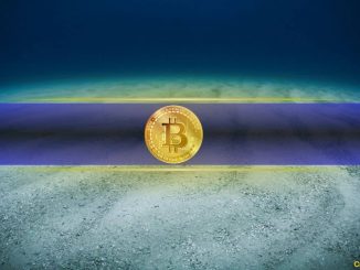 Did Bitcoin Bottom? This is How to Know
