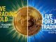 Live Forex & Crypto Trading For Beginners | GOLD LIVE TRADING || Live Trap Trading #trading #shorts