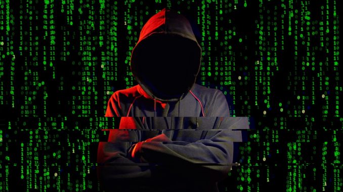 Pink Drainer Falls Victim to $30,000 Crypto Scam After Retirement line chart