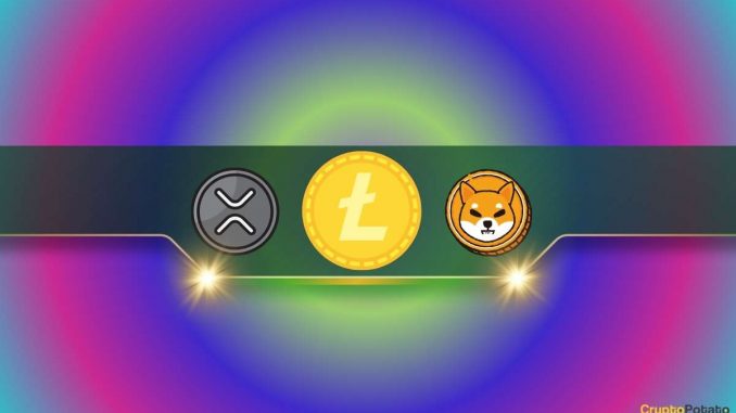 Ripple (XRP) and Shiba Inu (SHIB) are Among the Top 6 Altcoins With Most Holders: Details