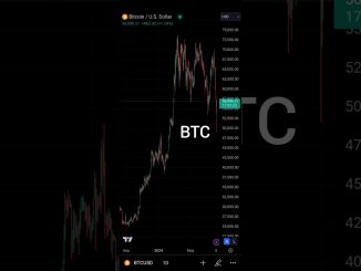 BTC 7 August 2024 TODAY MY PRICE PREDICTION #shorts #youtubeshorts #trading #crypto #bitcoin #viral