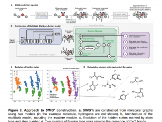 Integrating Stereoelectronic Effects into Molecular Graphs: A Novel Approach for Enhanced Machine Learning Representations and Molecular Property Predictions