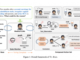 Turing-Complete-RAG (TC-RAG): A Breakthrough Framework Enhancing Accuracy and Reliability in Medical LLMs Through Dynamic State Management and Adaptive Retrieval