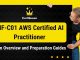 AIF-C01 AWS Certified AI Practitioner Exam Overview and Preparation Guides