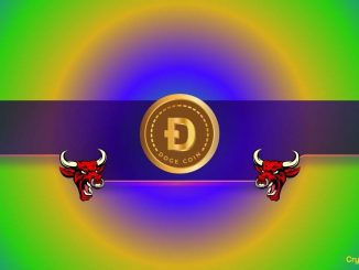Is DOGE Gearing up for a Massive Rally?