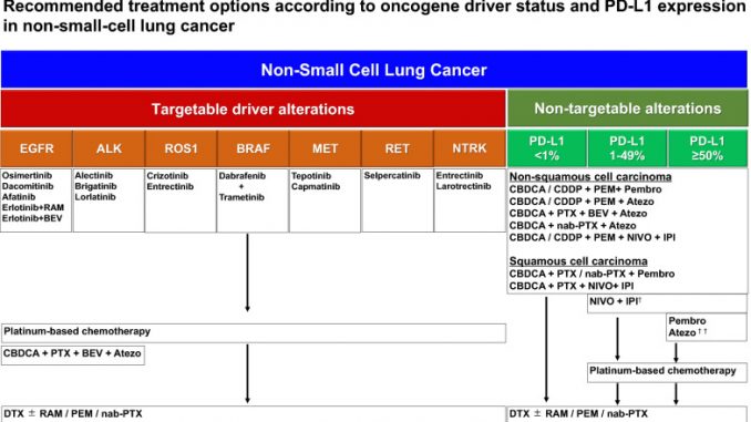 Leveraging AI for Multi-Omics Analysis and Precision Medicine in Non-Small-Cell Leveraging AI for Multi-Omics Analysis and Precision Medicine in Non-Small-Cell Lung Cancer NSCLC: Opportunities and Challenges
