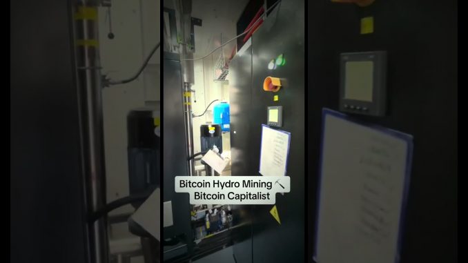 Bitcoin hydro mining #cryptominers #bitcoincapitalist #bitcoinminingcontainer #trading #bitcoin