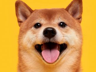 Dogecoin Moons Again After Musk Drops Token Mention During Pennsylvania Town Hall