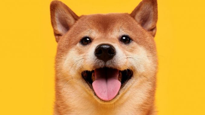 Dogecoin Moons Again After Musk Drops Token Mention During Pennsylvania Town Hall