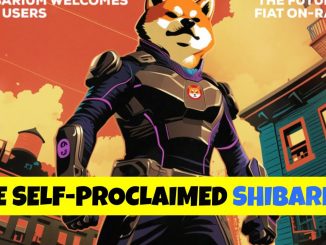 Shiba Inu Project Explained: The Ultimate Guide to profit ! #shiba #crypto