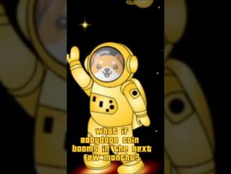 What if Babydogecoin  booms in the next few months?|Crypto news today |#babydogecoin #crypto #short