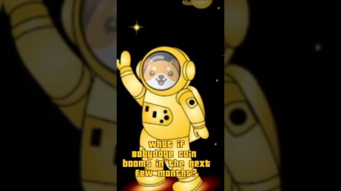What if Babydogecoin  booms in the next few months?|Crypto news today |#babydogecoin #crypto #short
