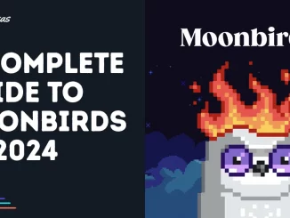 A Complete Guide to Moonbirds in 2024