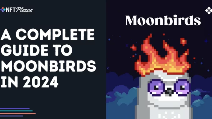 A Complete Guide to Moonbirds in 2024 A Complete Guide to Moonbirds in 2024