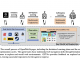 OpenWebVoyager: Building Multimodal Web Agents via Iterative Real-World Exploration, Feedback and Optimization