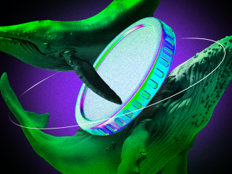 Crypto Whales Bought These Altcoins in the Third Week of November 2024