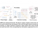UniMTS: A Unified Pre-Training Procedure for Motion Time Series that Generalizes Across Diverse Device Latent Factors and Activities