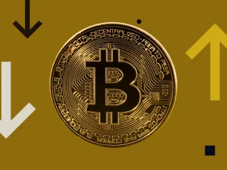 Bitcoin’s Potential Price Surge to $108K: Will a Dip to $74K Follow?