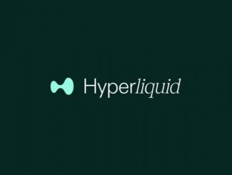 Hyperliquid's HYPE token surges past $10 billion market cap