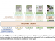 NOVA: A Novel Video Autoregressive Model Without Vector Quantization