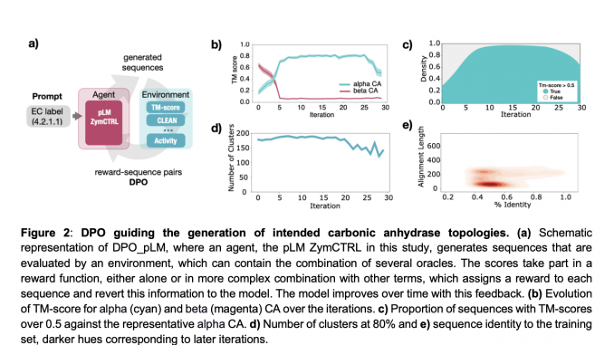 Optimizing Protein Design with Reinforcement Learning-Enhanced pLMs: Introducing DPO_pLM for Efficient and Targeted Sequence Generation