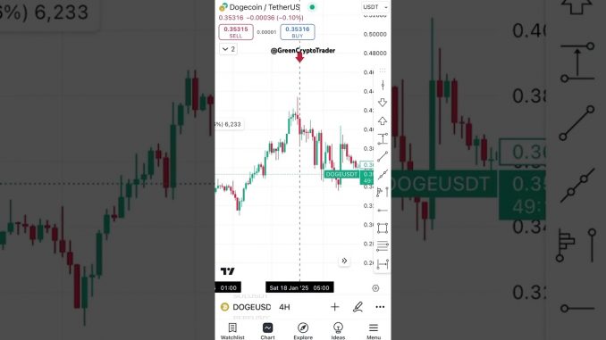 Crypto Trading for Beginners - DOGE/USDT #crypto #trading #beginners