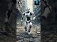 AI News Daily Digest 09/02/2025