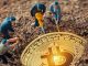 Crypto Mining Guide