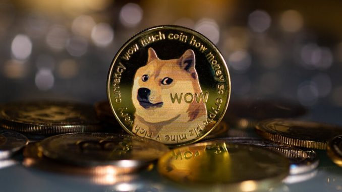 Biotech Firm's Shares Plummet Amid Planned Pivot to Dogecoin Mining