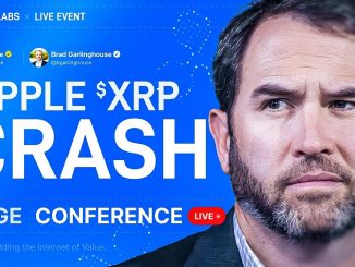 Brad Garlinghouse: RIPPLE CRASH - What Will Happen Next?! XRP Price Analysis