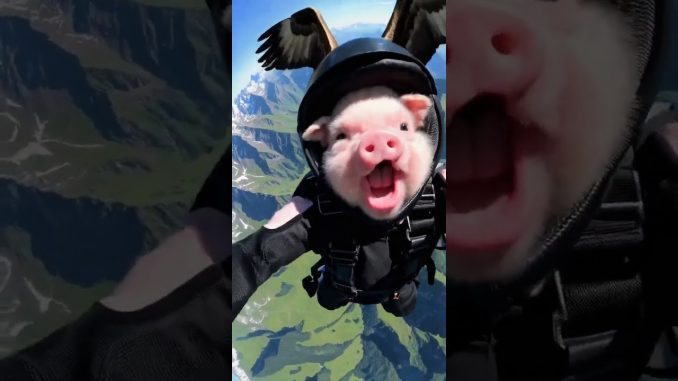 CRAZY! Baby Pig FALLS From The Sky?! 🐷 | Funny AI News?
