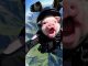 CRAZY! Baby Pig FALLS From The Sky?! 🐷 | Funny AI News?