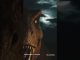 Dino Crisis A.I fan film unofficial #ai #videogame #game #news #gamer #gamers #movie #teaser