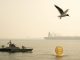 Bitcoin crashes on Iranian Parliament approval of Hormuz Strait closure