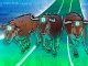 Why is Bitcoin price rising?