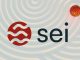 the SEI coin