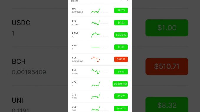 Bitcoin RECORD BREAKING highs #crypto #news #money #stocks #crazy #investor #greed #bank