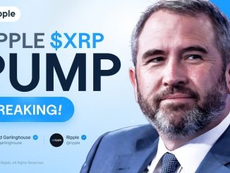 Brad Garlinghouse: RIPPLE BULL RUN READY TO BE CONFIRMED! XRP PRICE PREDICTION