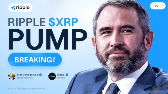 Brad Garlinghouse: RIPPLE BULL RUN READY TO BE CONFIRMED! XRP PRICE PREDICTION