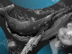 Bitcoin Whale Awakens After 12 Years to Move $44 Million in BTC