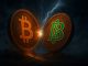 The battle between Bitcoin Core vs Knots is getting ugly