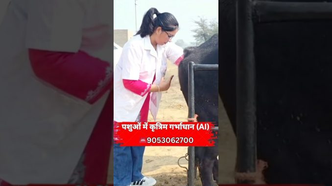 AI Training for Beginners | Step-by-Step Process | Hands-on Artificial Insemination Learning |